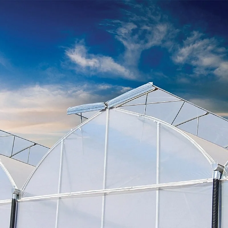 Butterfly polyhouse design — Agriplast greenhouse