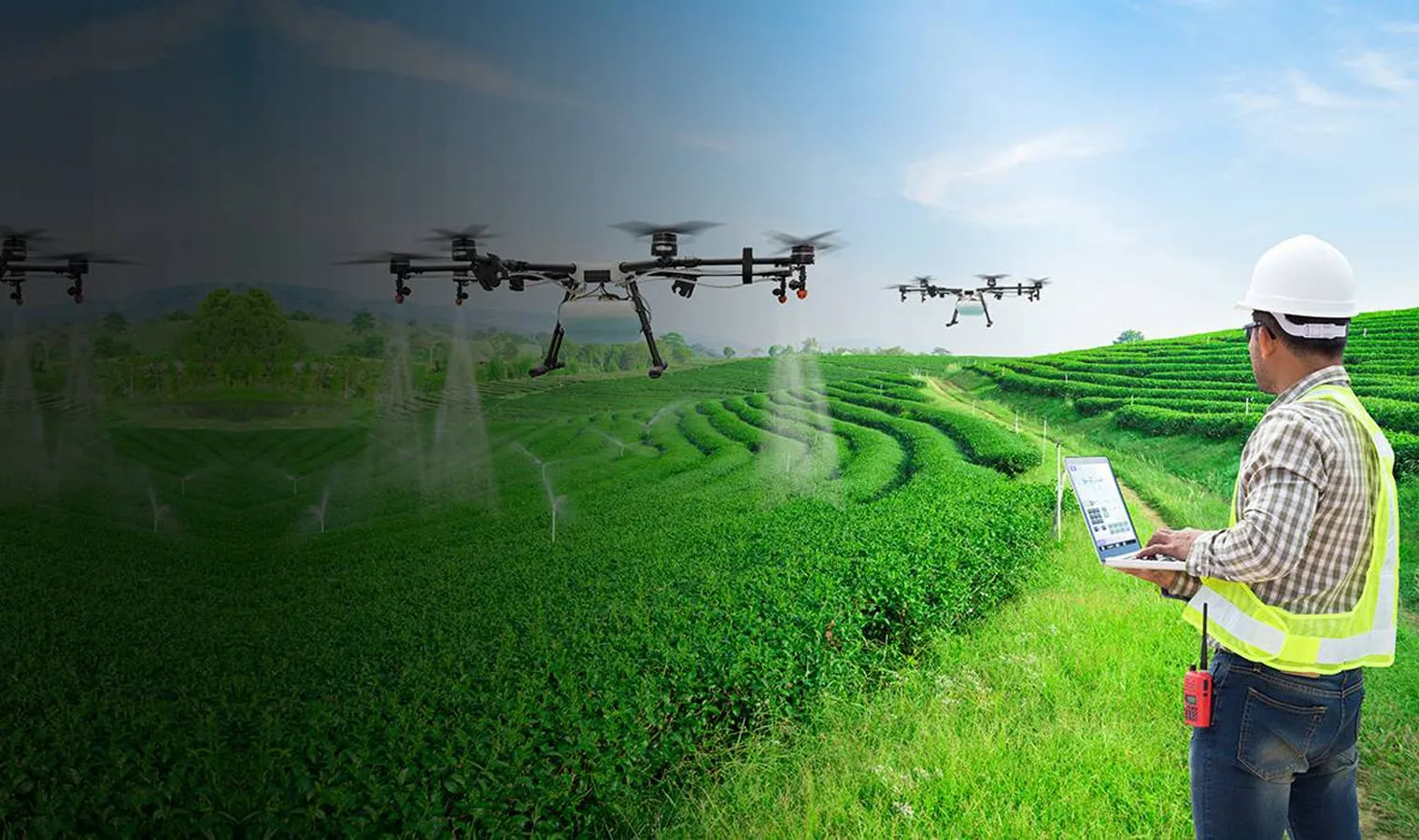 Corporate greenhouse farming — Agriplast polyhouse solution for businesses