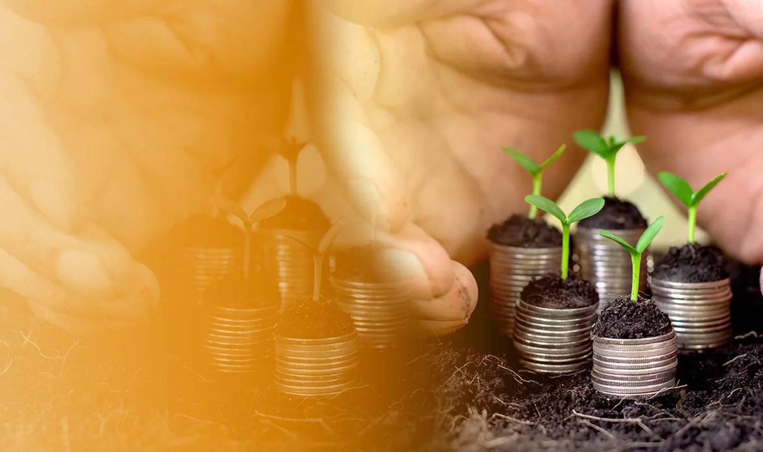 agriplast protected cultivation, greenhouse farming, polyhouse cultivation, agriplast solutions, protected agriculture, polyhouse farming, agriplast greenhouse, sustainable farming, modern agriculture techniques, climate-controlled farming, agriplast innovations