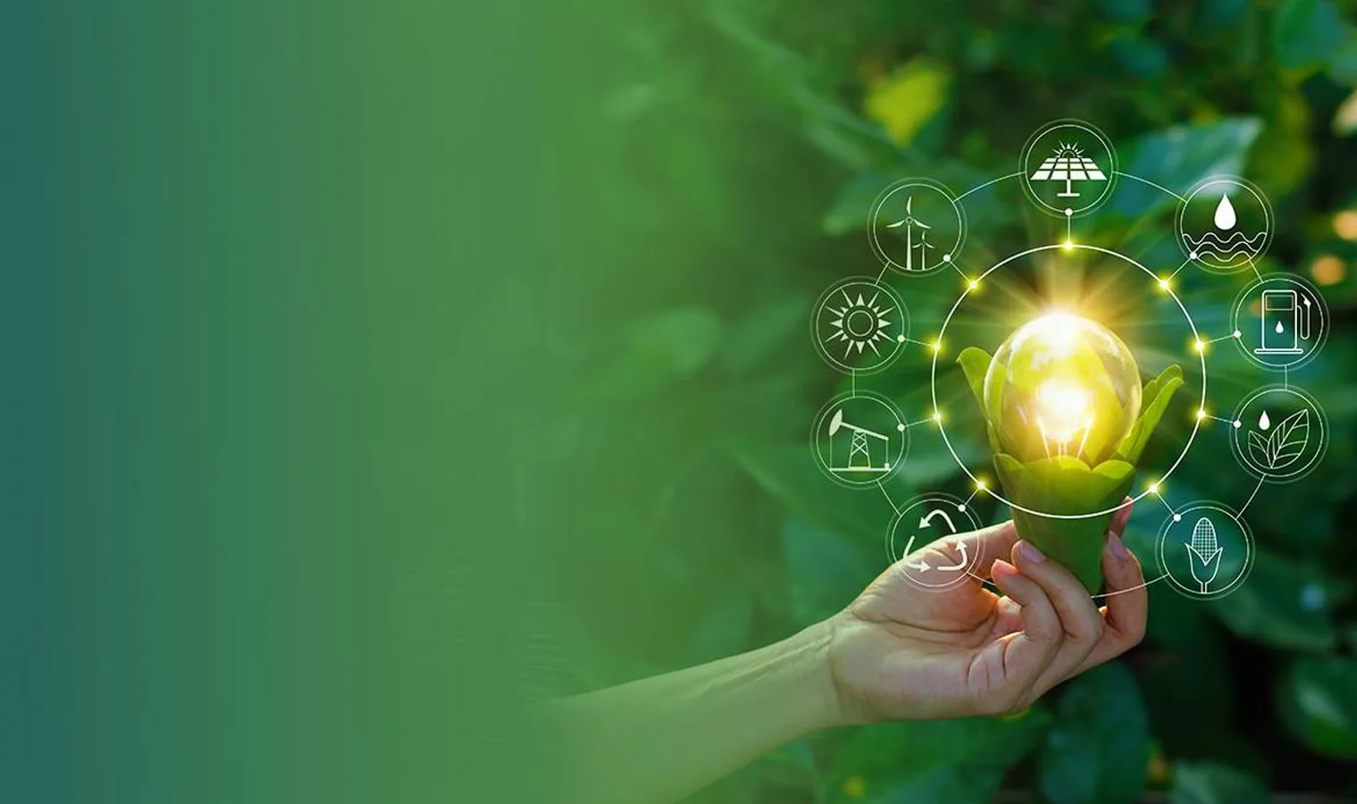 Agriplast corporate polyhouse farm — controlled environment agriculture