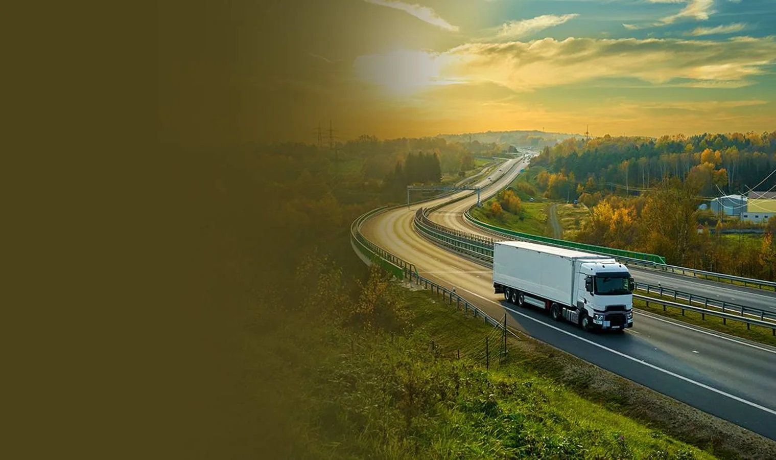 Successful greenhouse farmer — Agriplast polyhouse project