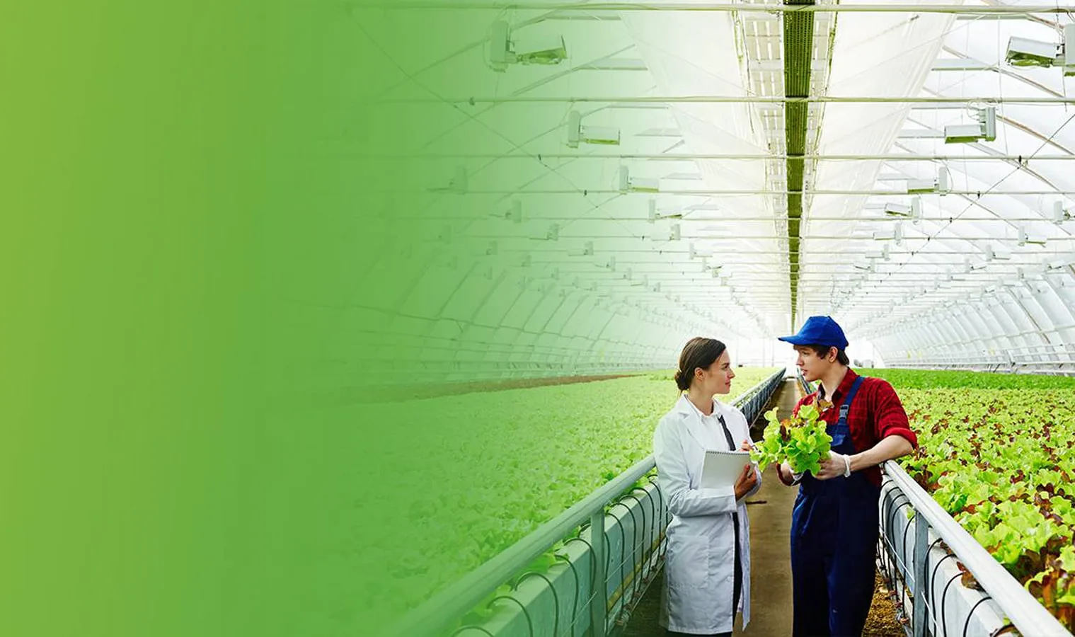 Agriplast hi-tech farmer — greenhouse farming across India