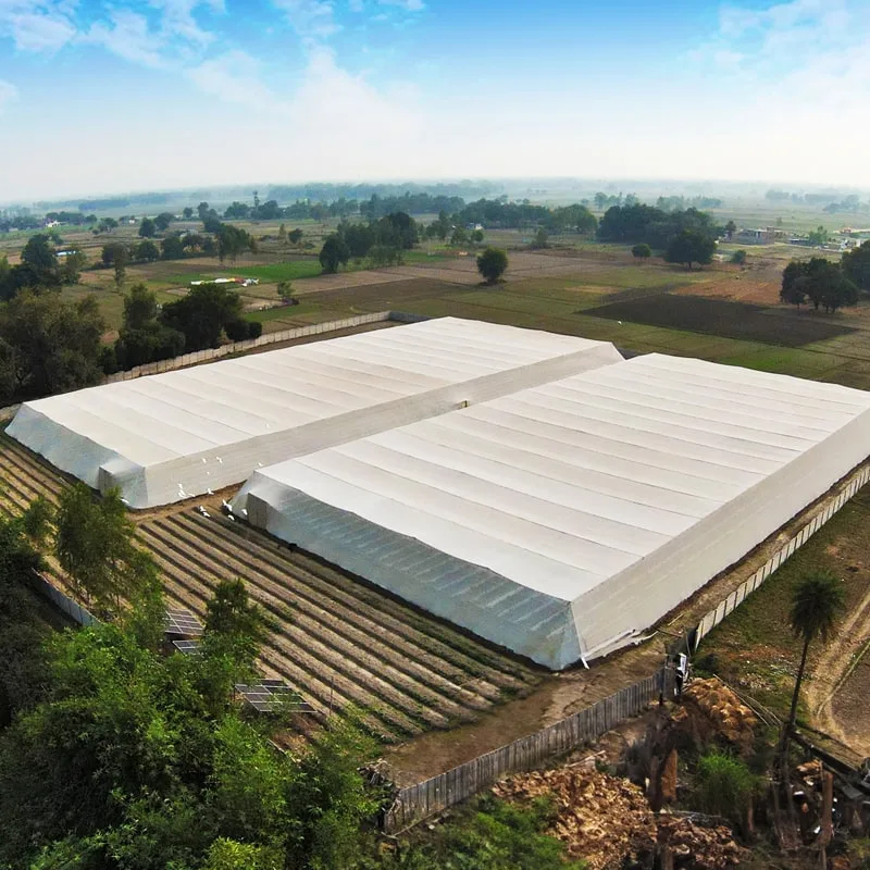 Agriplast Net House Structure — India