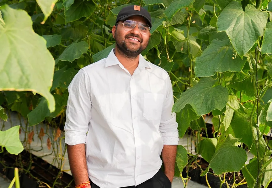 capsicum, polyhouse, agriplast protected cultivation, greenhouse farming, polyhouse cultivation, agriplast solutions, protected agriculture, polyhouse farming, agriplast greenhouse, sustainable farming, modern agriculture techniques, climate-controlled farming, agriplast innovations