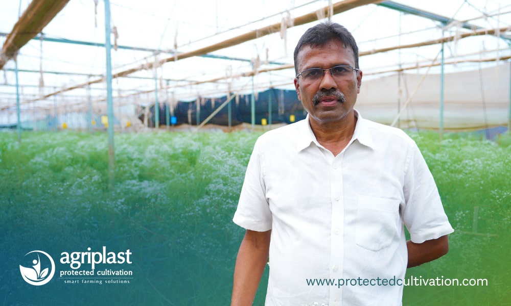 Agriplast, Sundar Raj, Successful farming stories, Agricultural innovation, Greenhouse farming in India, Capsicum cultivation techniques, Profitable farming methods, Modern agriculture practices, Farming success stories, Tips for new farmers