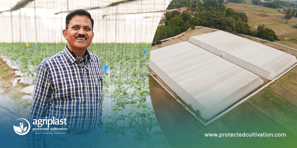 Agriplast, Shadenet House, Protected Cultivation, Santosh Ojha, Farming Success, Greenhouse Farming, Ginegar, Agronomy Guidance, Higher Yield, Farmer Success Story