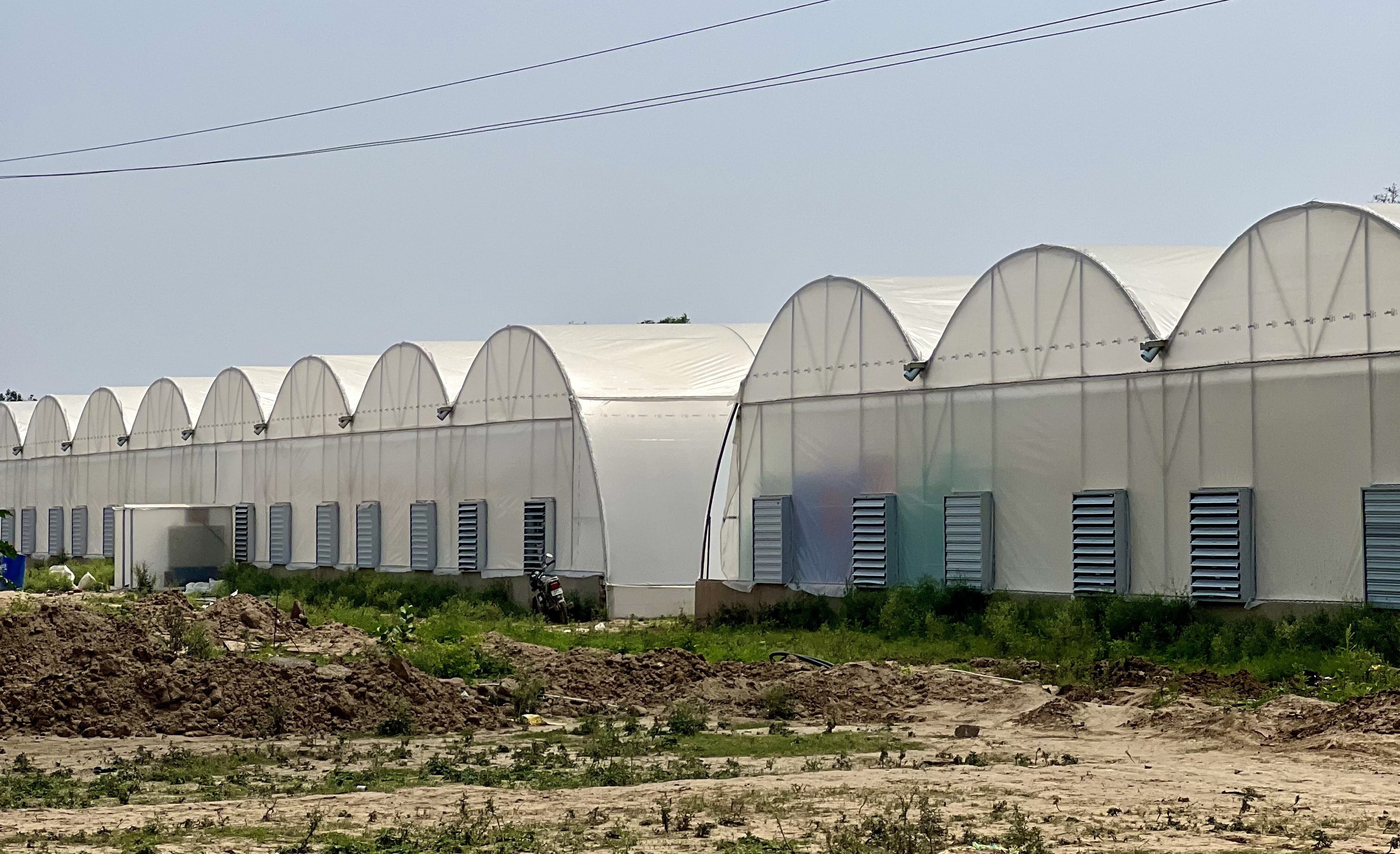 Ventilation Systems for Greenhouses in India