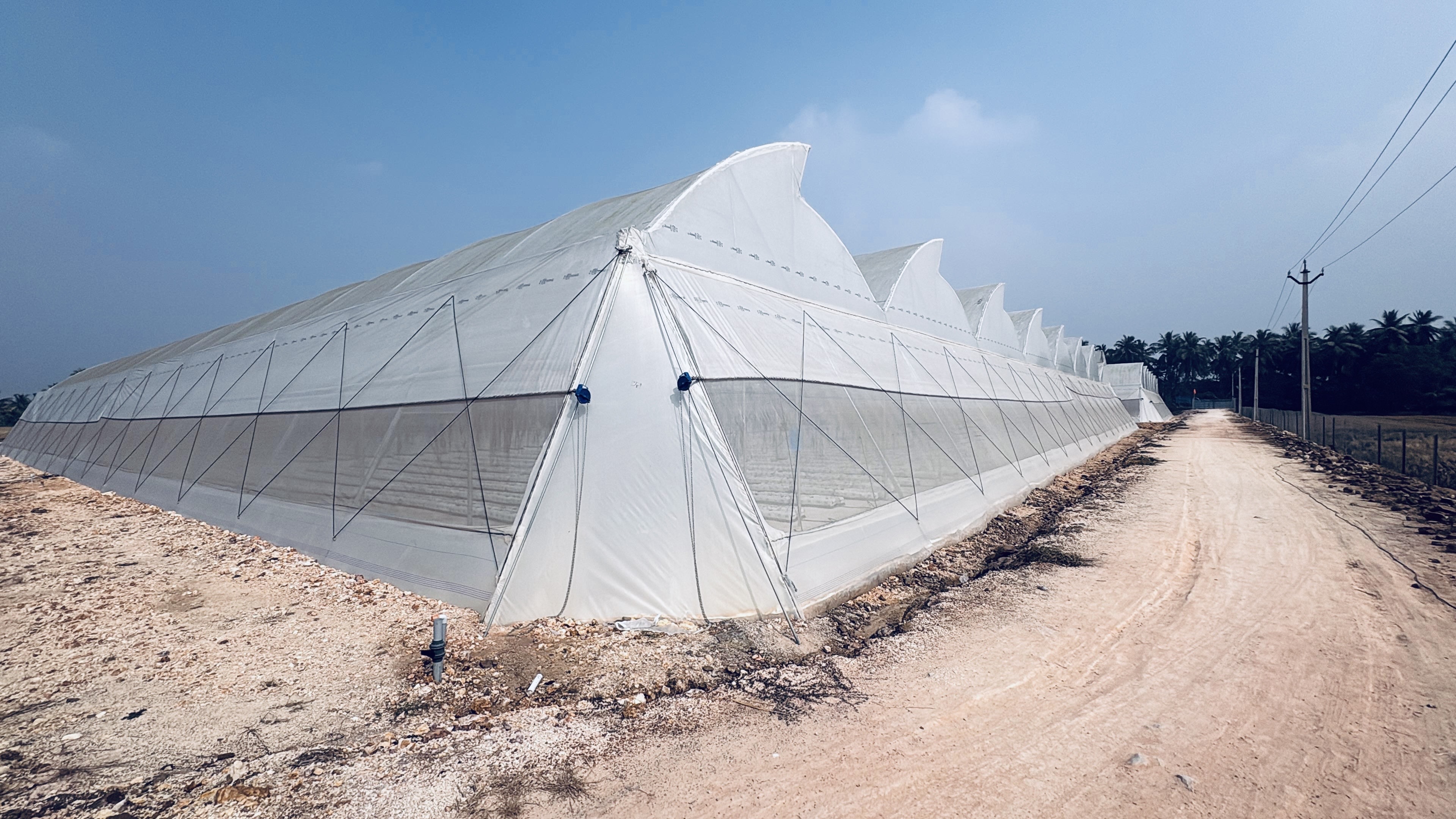 Exit Strategy for Polyhouse Farming