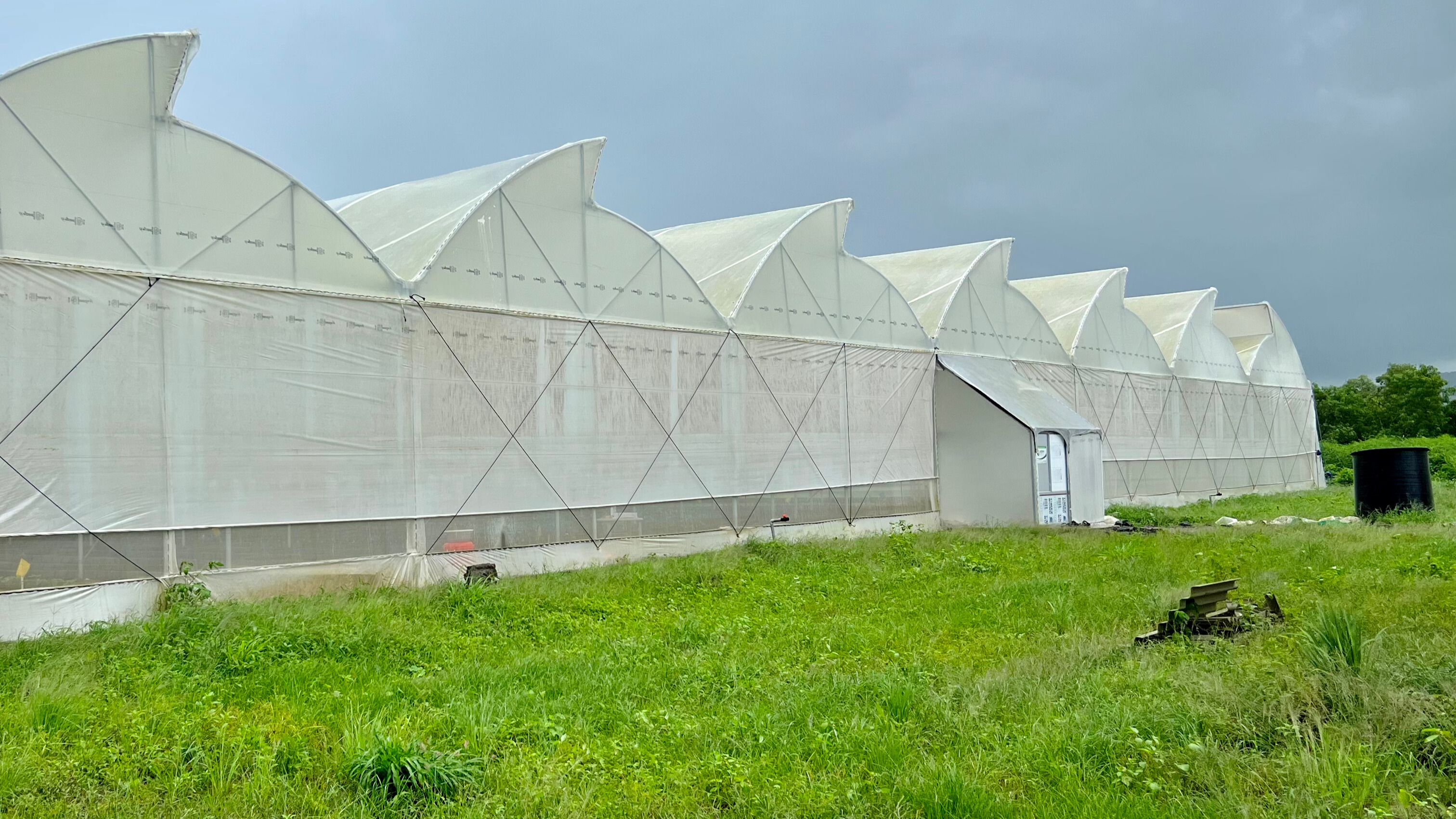 What Materials Are Used for Polyhouse Construction?