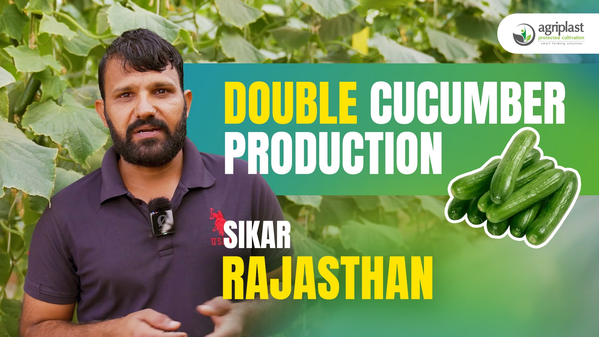 How Agriplast Protected Cultivation Helped Farm in Sikar Double Cucumber Production