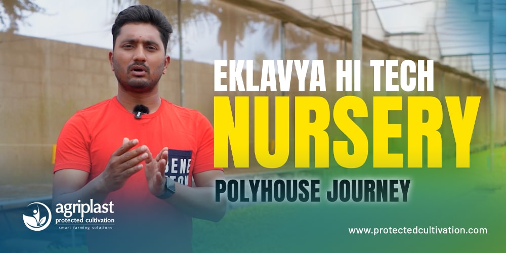 Eklavya Nursery’s 10-Year Journey with Agriplast: A Polyhouse Farming Success Story in Bengaluru